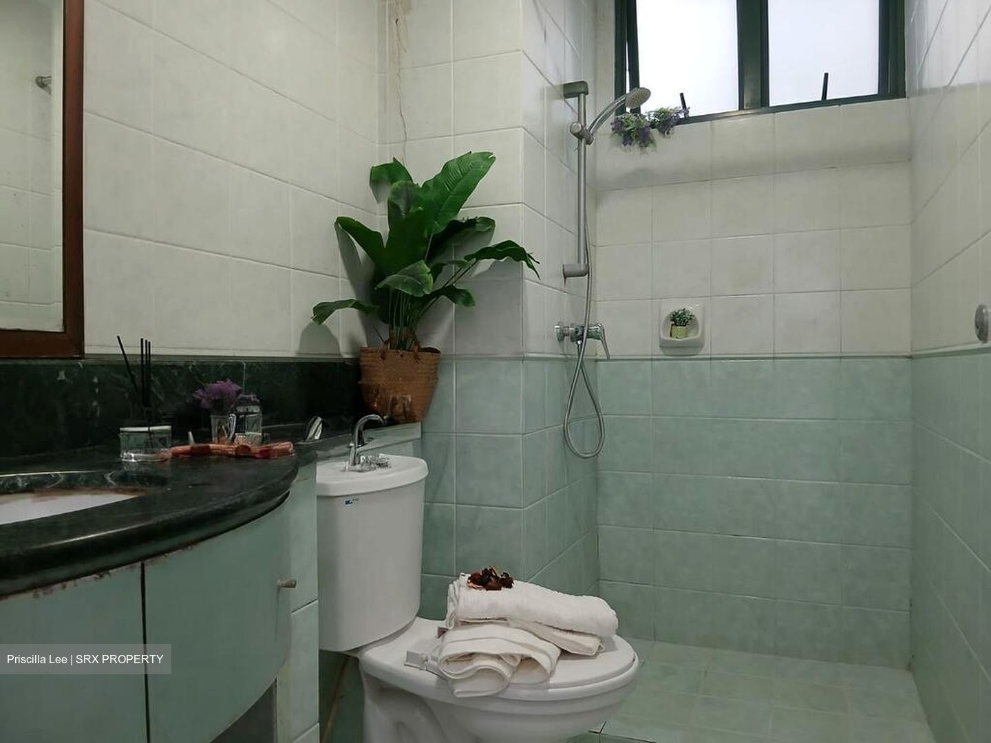 Summerdale (D22), Condominium #501267451